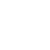 1sm Inc.